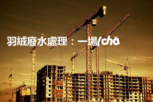 羽絨廢水處理：一場(chǎng)綠色環(huán)保的羽毛盛宴？
